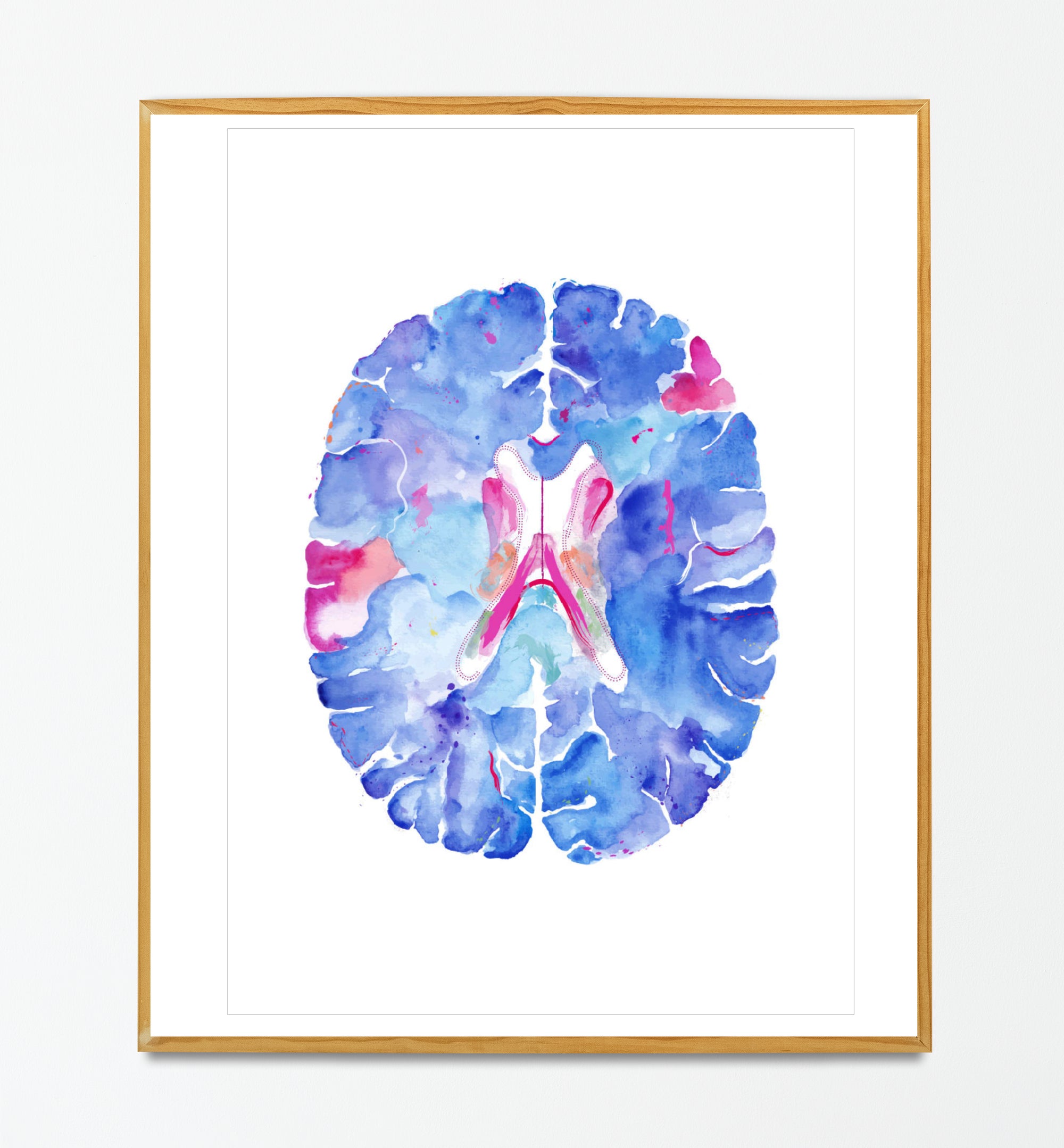Brain Anatomy Art, Neuroscience Art, Neurologist Gift