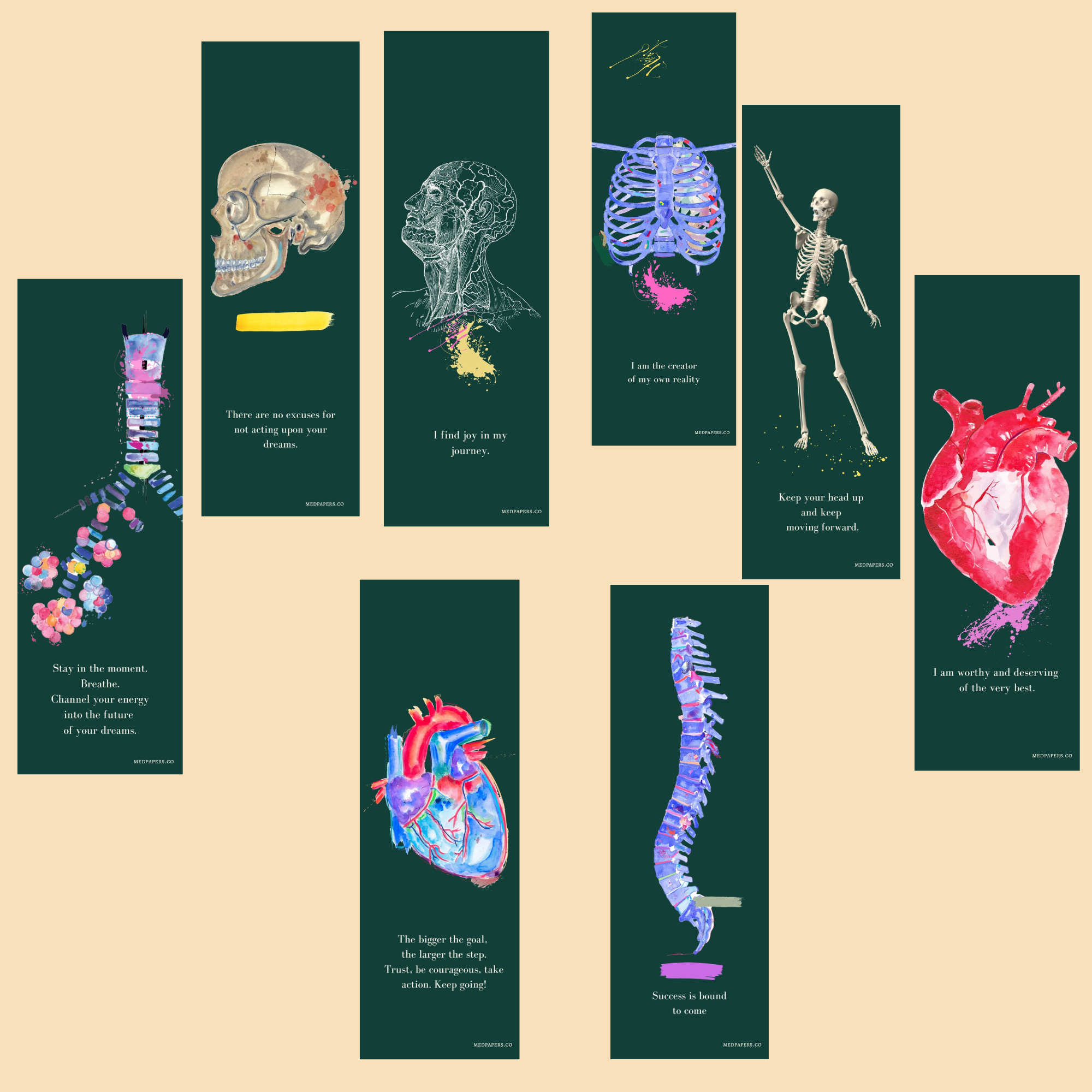 Anatomy Bookmarks
