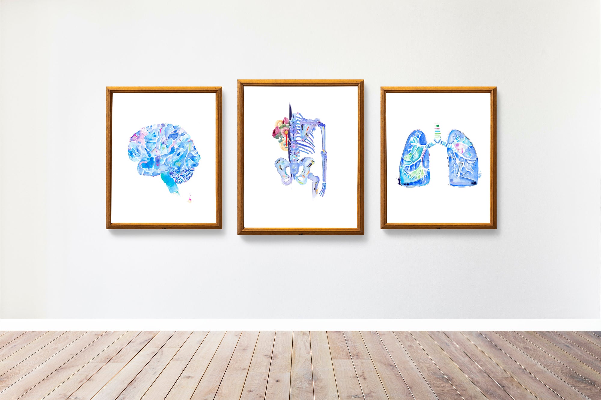 Anatomy Art Print set of Three: Brain, Skeleton and Lung
