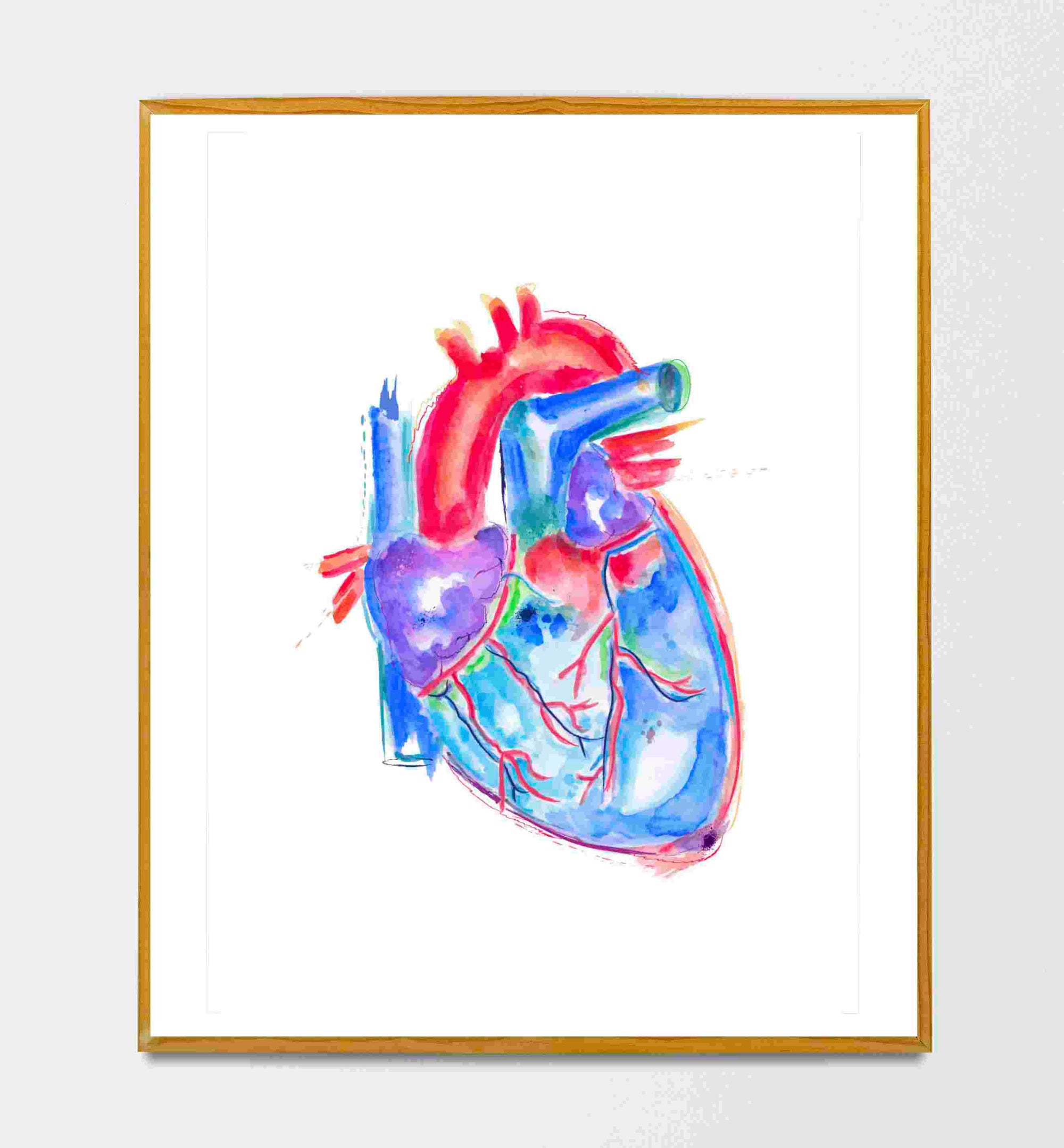 heart watercolor anatomy art print