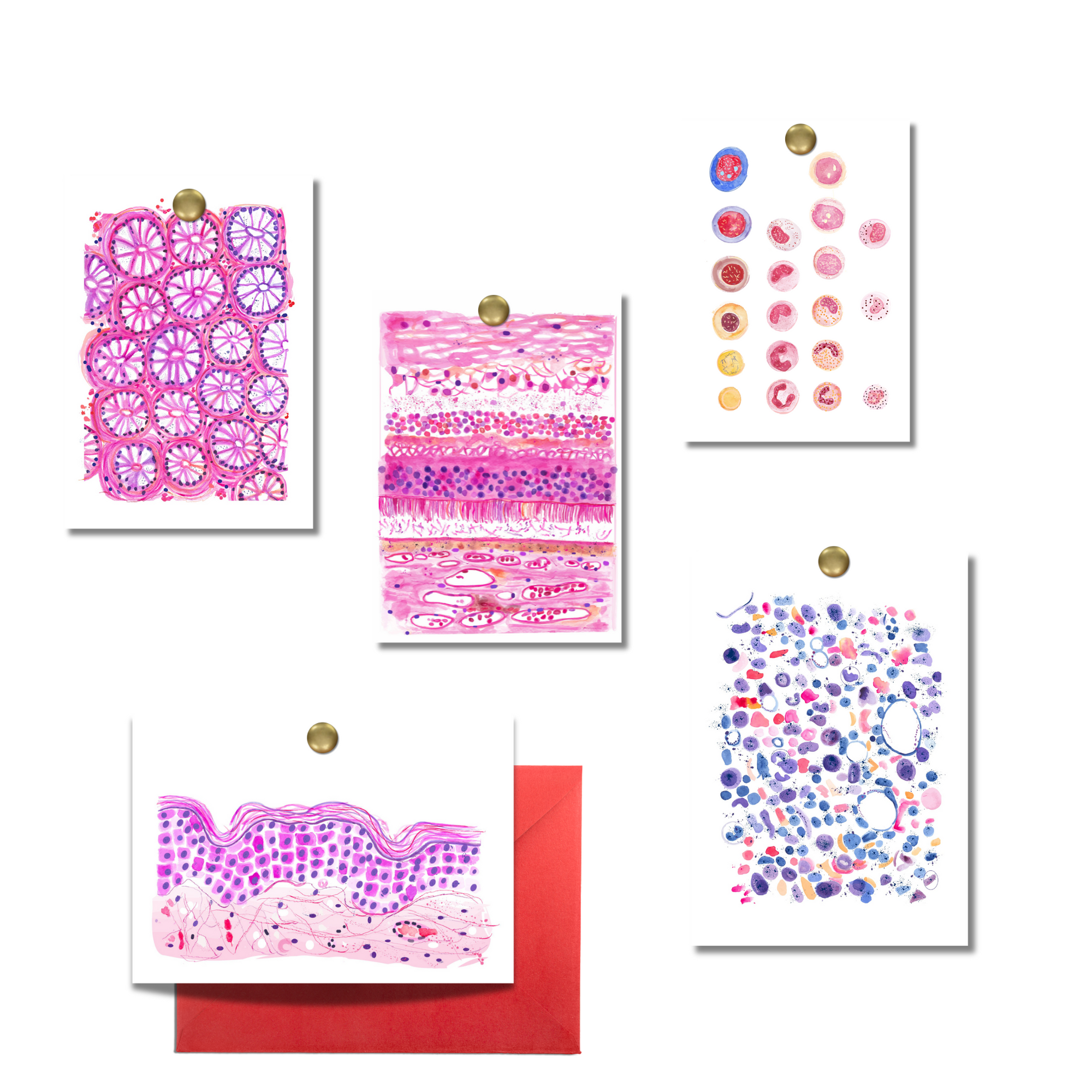 Pathology Card Set of Five - Mini small fine art prints