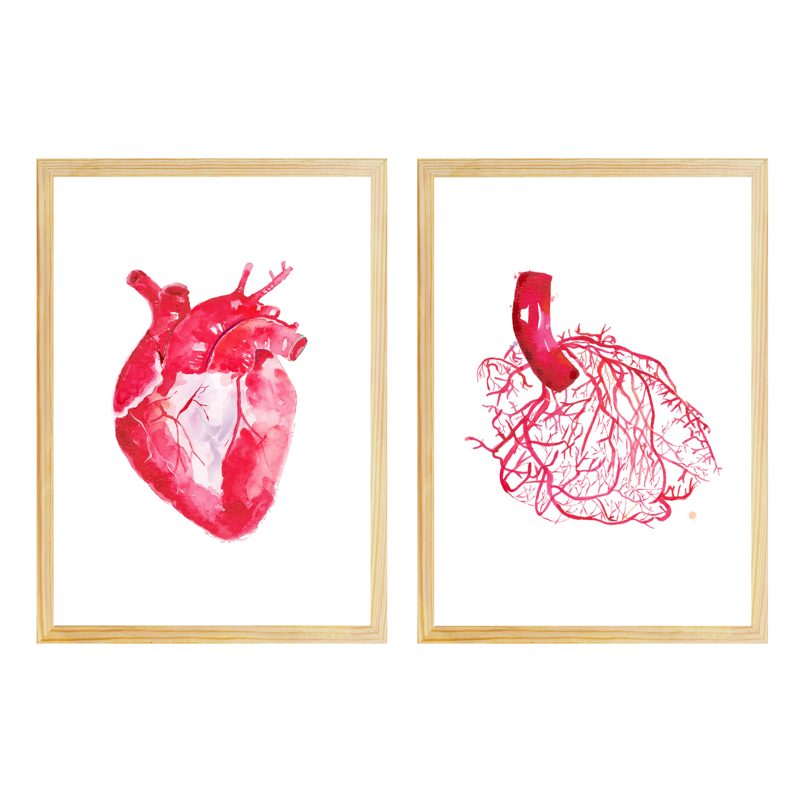 Human Heart Anatomy and Coronary Angiography Art Print Set