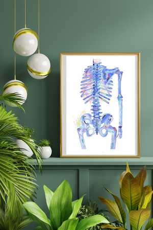 Human Anatomy Skeletal Art Print, Abstract Modern Anatomy Artwork