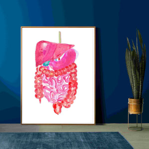 Abdominal Anatomy, Gastrointestinal Print, General Surgery Art