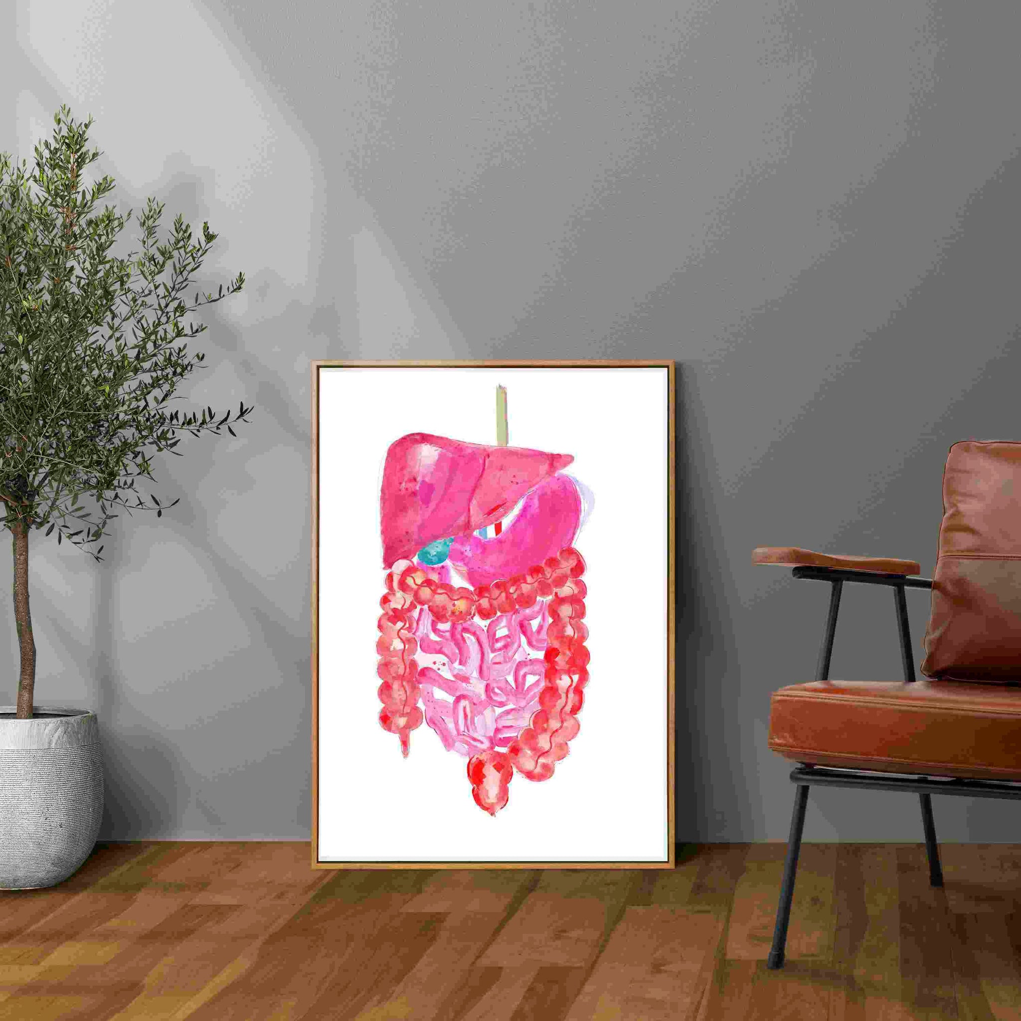 Abdominal Anatomy, Gastrointestinal Print, General Surgery Art - medpapers