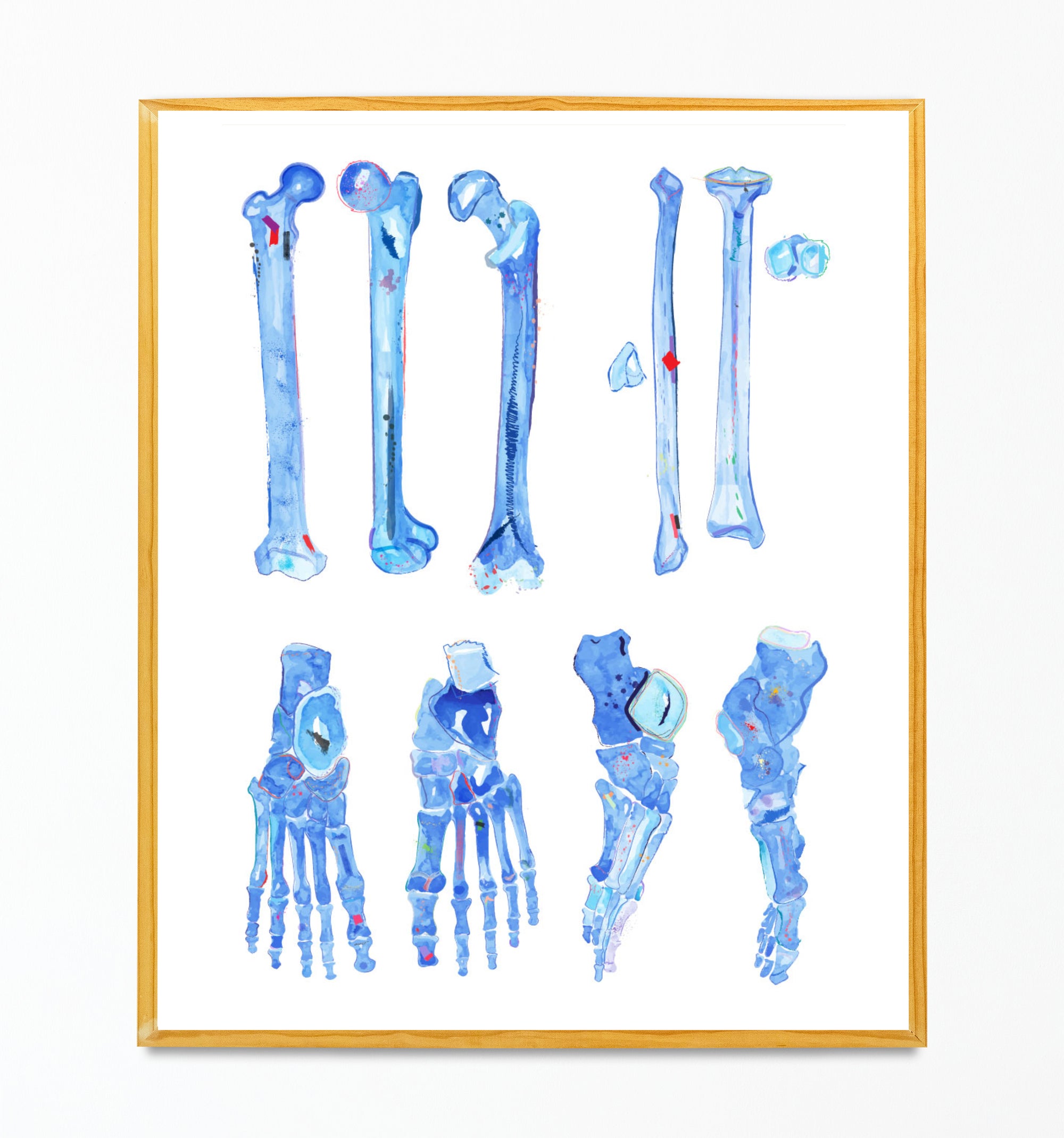 Lower Limb Bones Anatomy Art Print, Orthopedic Surgery Art, Medical Student Art Prnt Gift