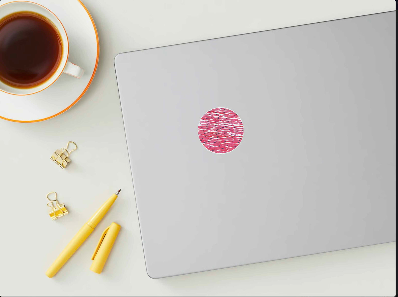 Pathology Stickers, Set of 6, Round and Rectangular