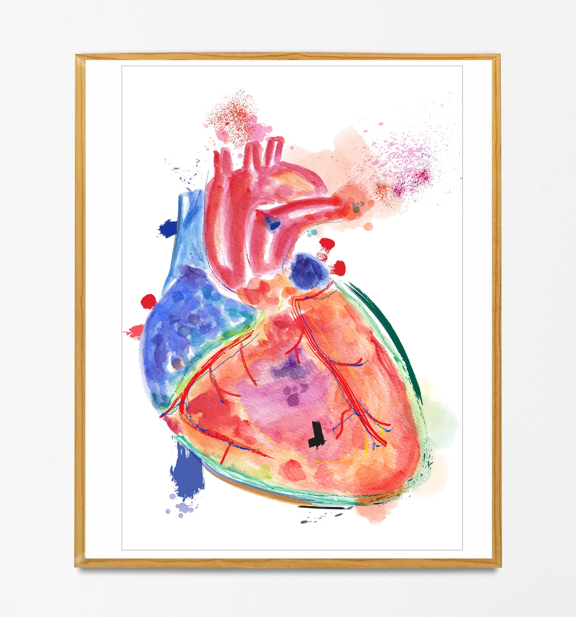 heart watercolor anatomy art print