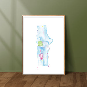 Elbow Anatomy, Orthopedic Surgery and Physical Therapy Office Art Print