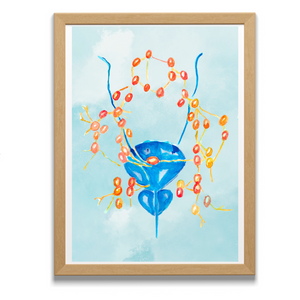 Pelvic Lymph Nodes Male Anatomy Urology Artwork