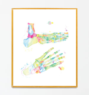 podiatrist foot anatomy art
