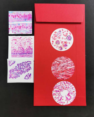Pathology Stickers, Set of 6, Round and Rectangular