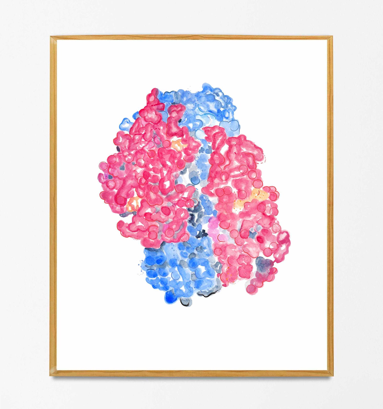 hemoglobin molecule structure