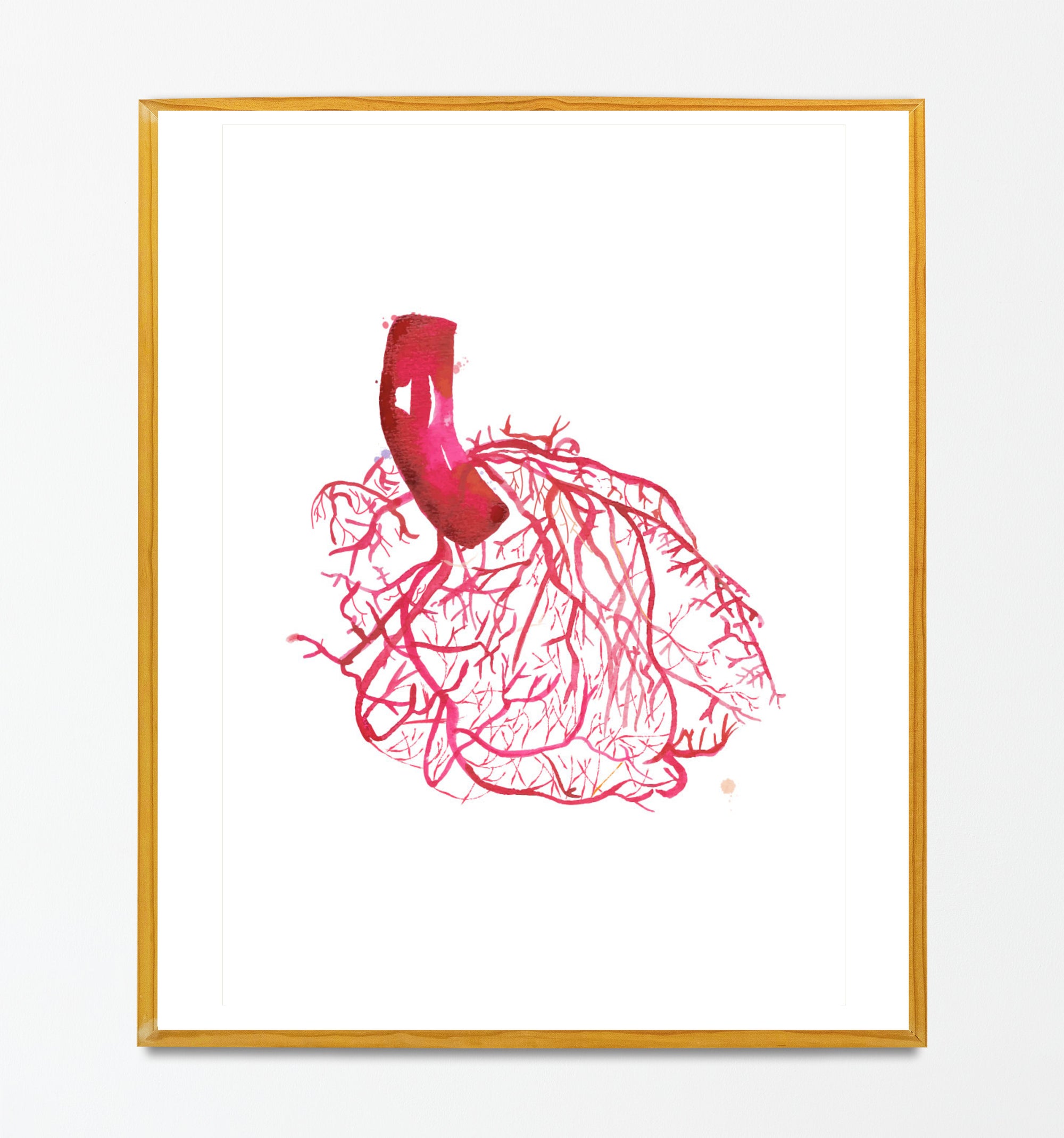 Heart Anatomy Vascularization Art Print