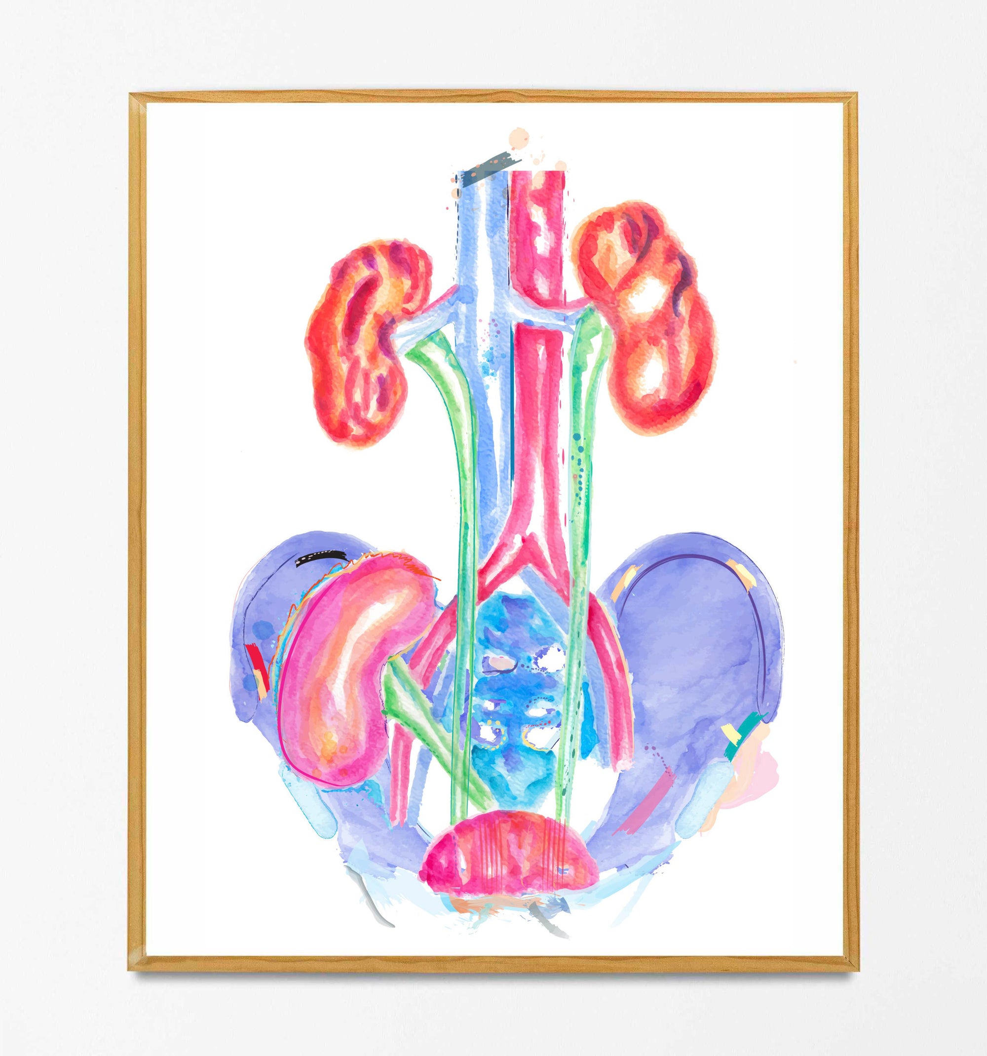 kidney transplant watercolor art