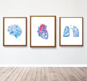 Human Anatomy Art Print set of 3