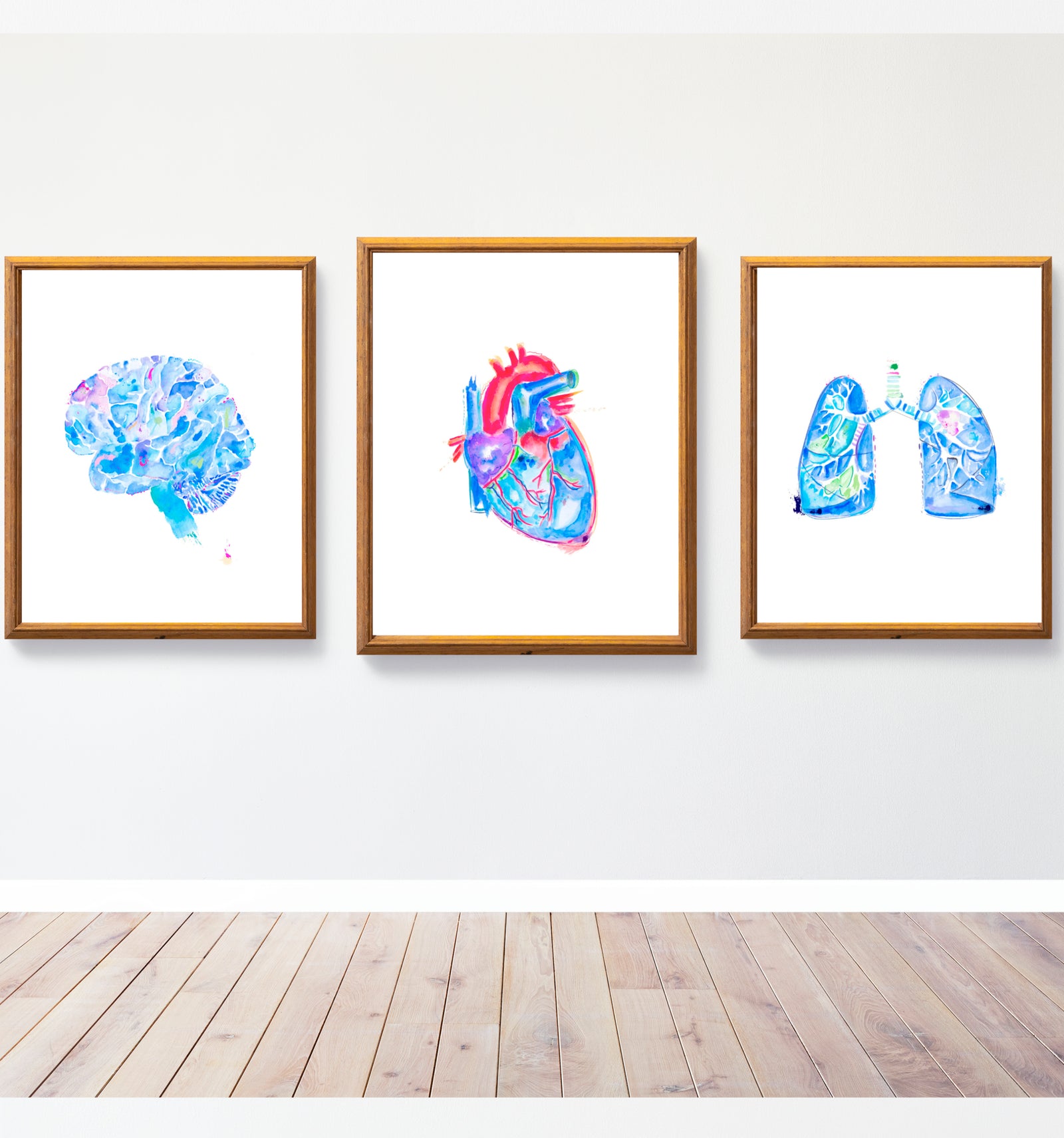 Human Anatomy Brain Heart Lung Art Print Set of 3