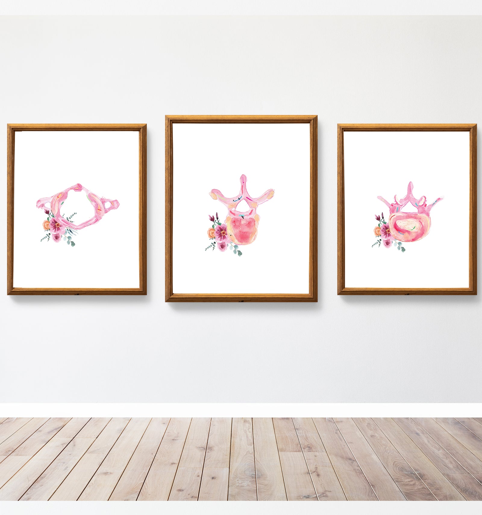 Vertebra Flower Anatomy Art Set of three Prints