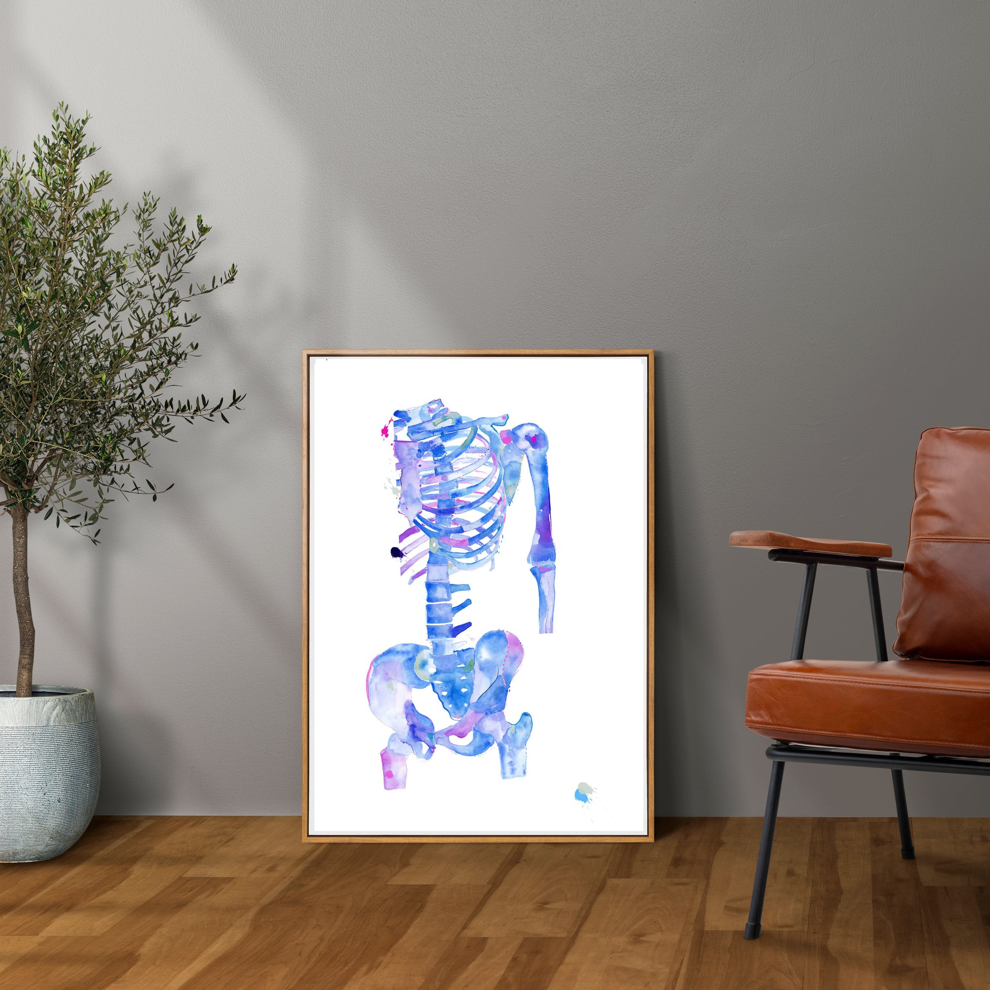 Human Anatomy Art Print, Skeleton Art, Chiropractic and Physical Therapy Art