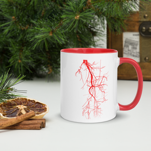 Lower Limb CT Angio in Red Mug