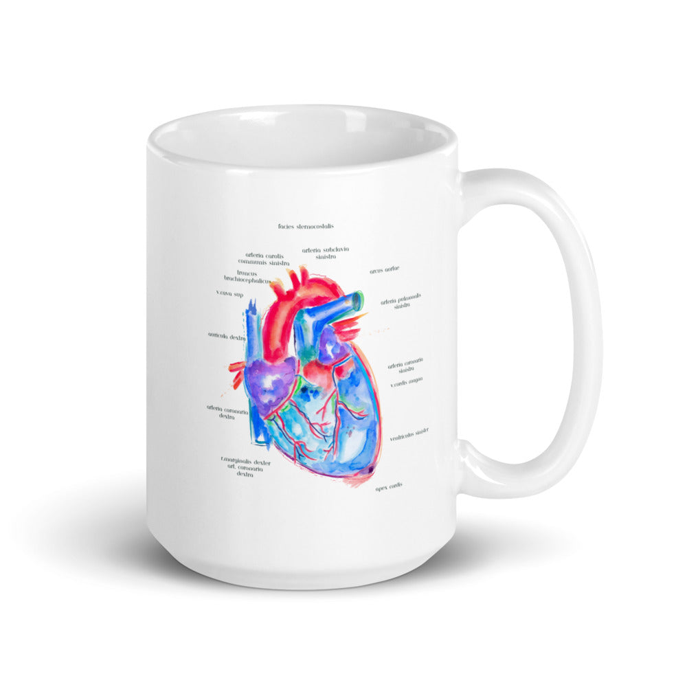 anatomy mug