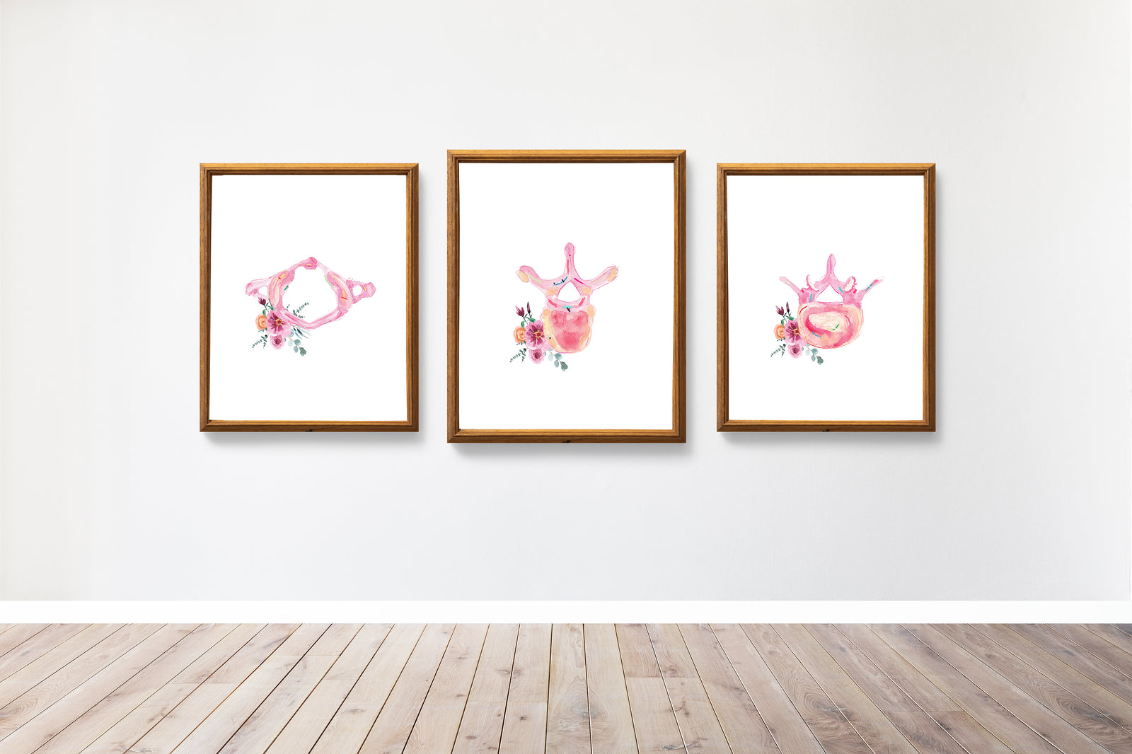 Vertebra Flower Anatomy Art Set of three Prints