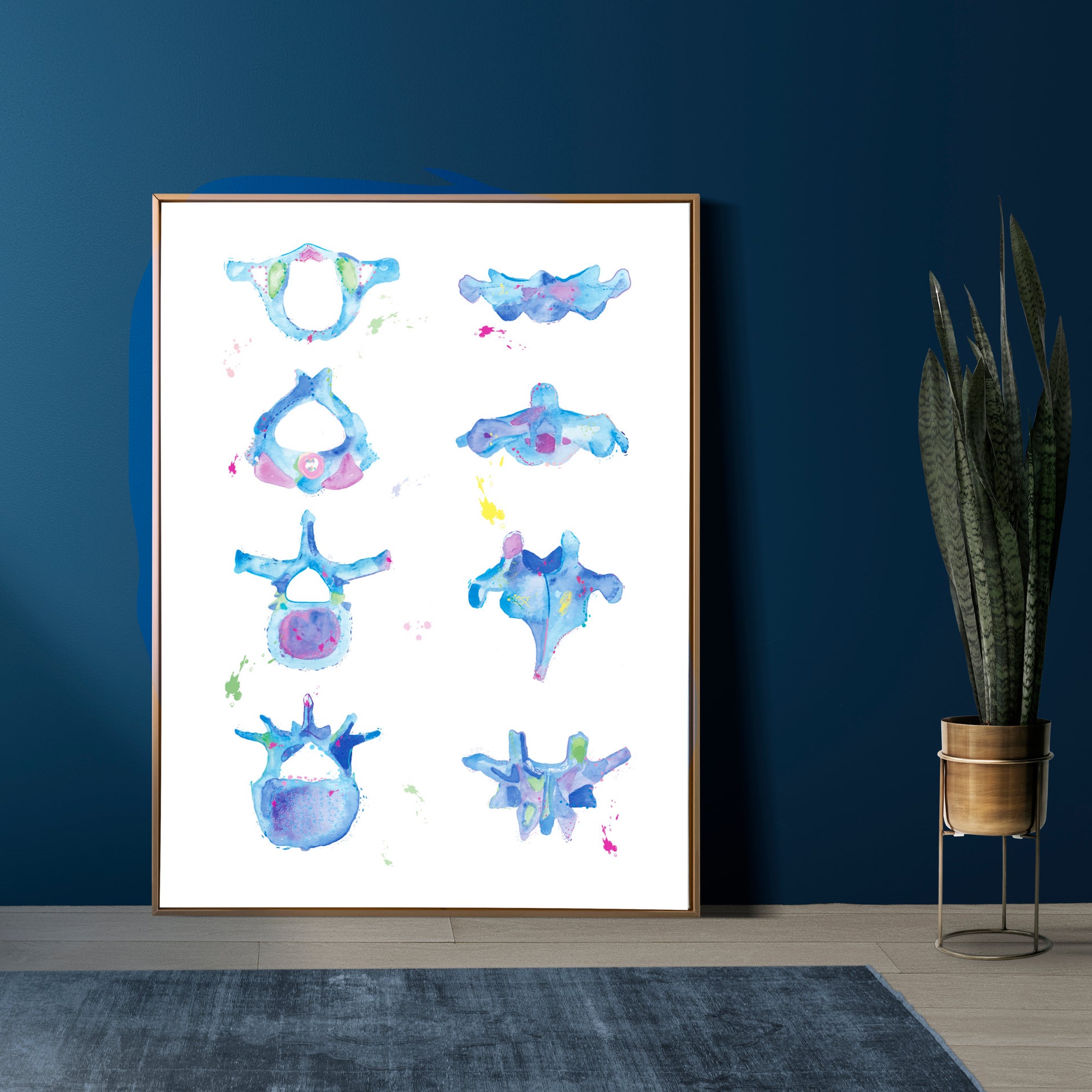 Vertebrae Anatomy Art Print, Chiropractic and Physical Therapy Wall Decor