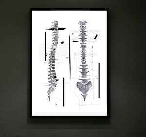 spine illustration abstract art