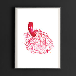 heart anatomy art