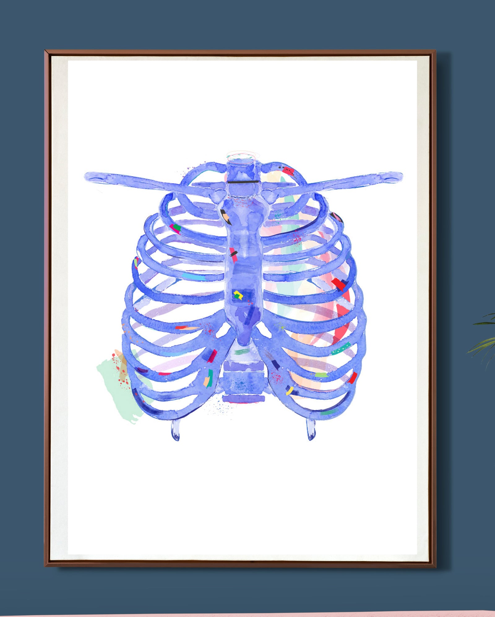 Rib cage Anatomy Artwork, Physical Therapy, Osteopathy, Chiropractic Anatomy Wall Art