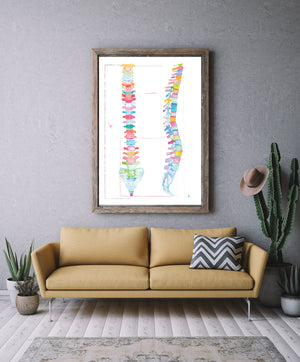 human spine anatomy art