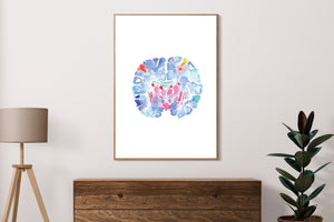 Brain Anatomy Art Print