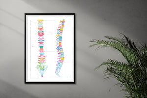 Spine Anatomy Art Physical Therapy Office