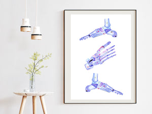 Foot Anatomy Art, Orthopedic Surgery Art, Podiatry Art Print