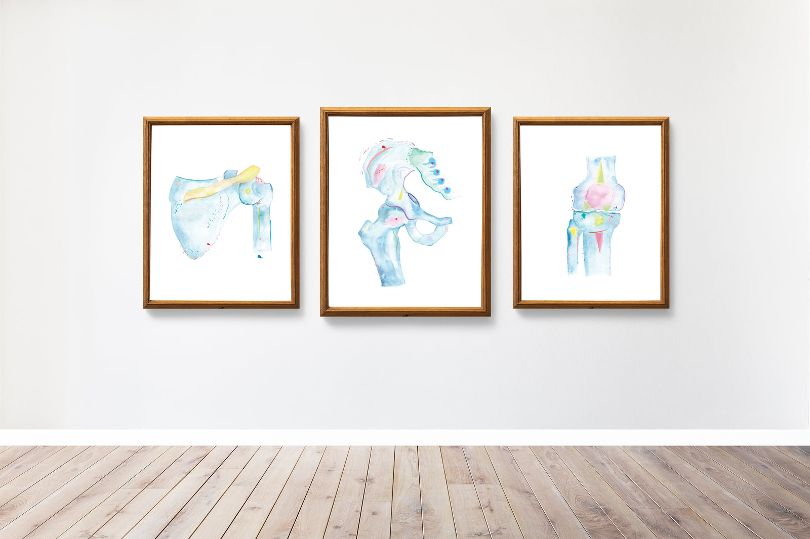 Shoulder, Knee, Pelvis Anatomy Art Set of 3, Orthopedic Art, Chiropractic Art, Physical Therapy Art