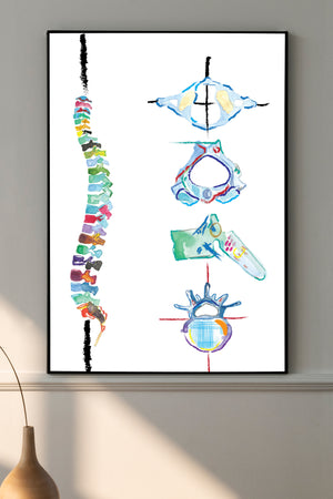Spine and Vertebrae Abstract Anatomy Art Print