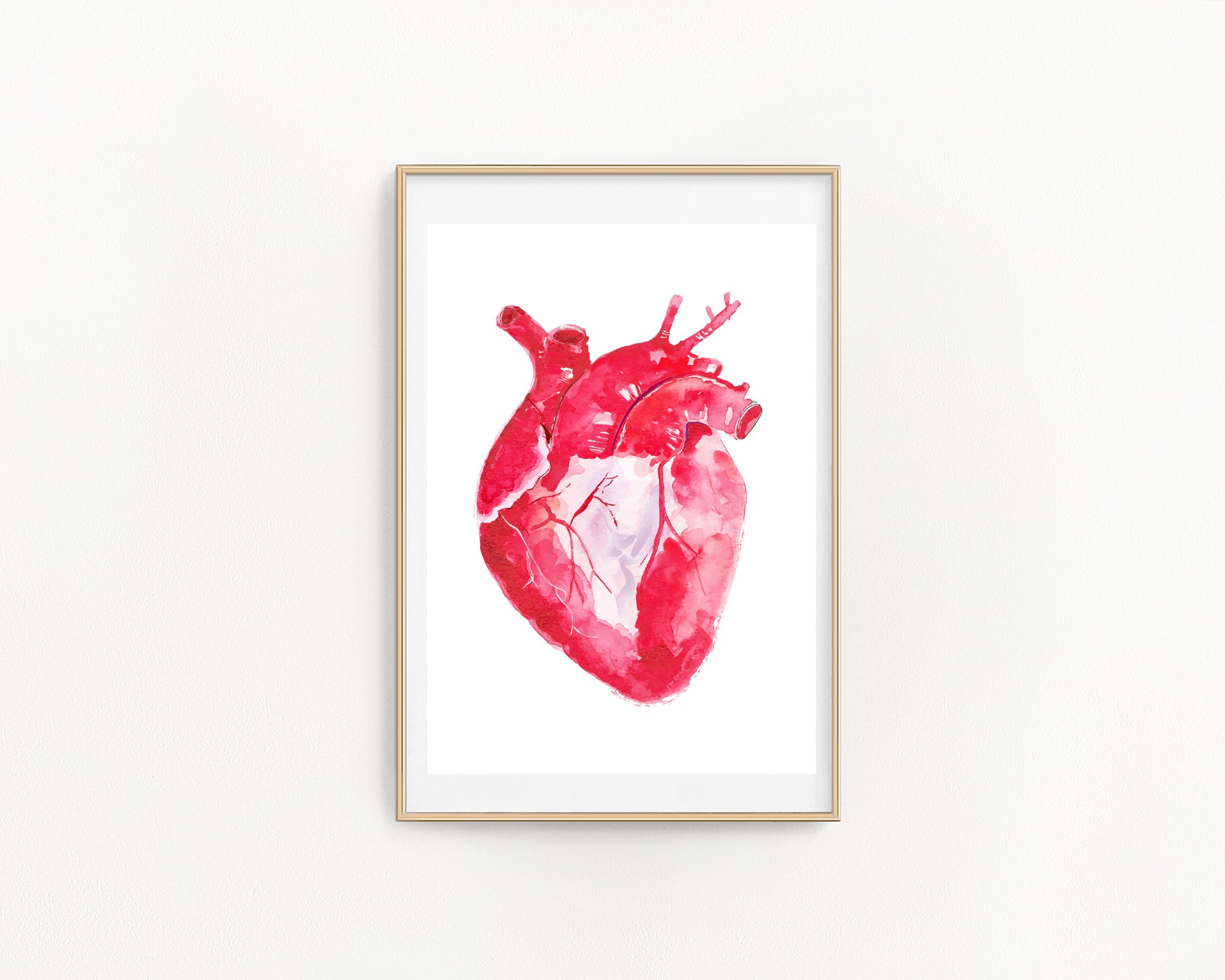 Heart Anatomy Watercolor Illustration, Medical Illustration Art Print