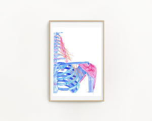 Cervical Plexus Abstract Anatomy Art