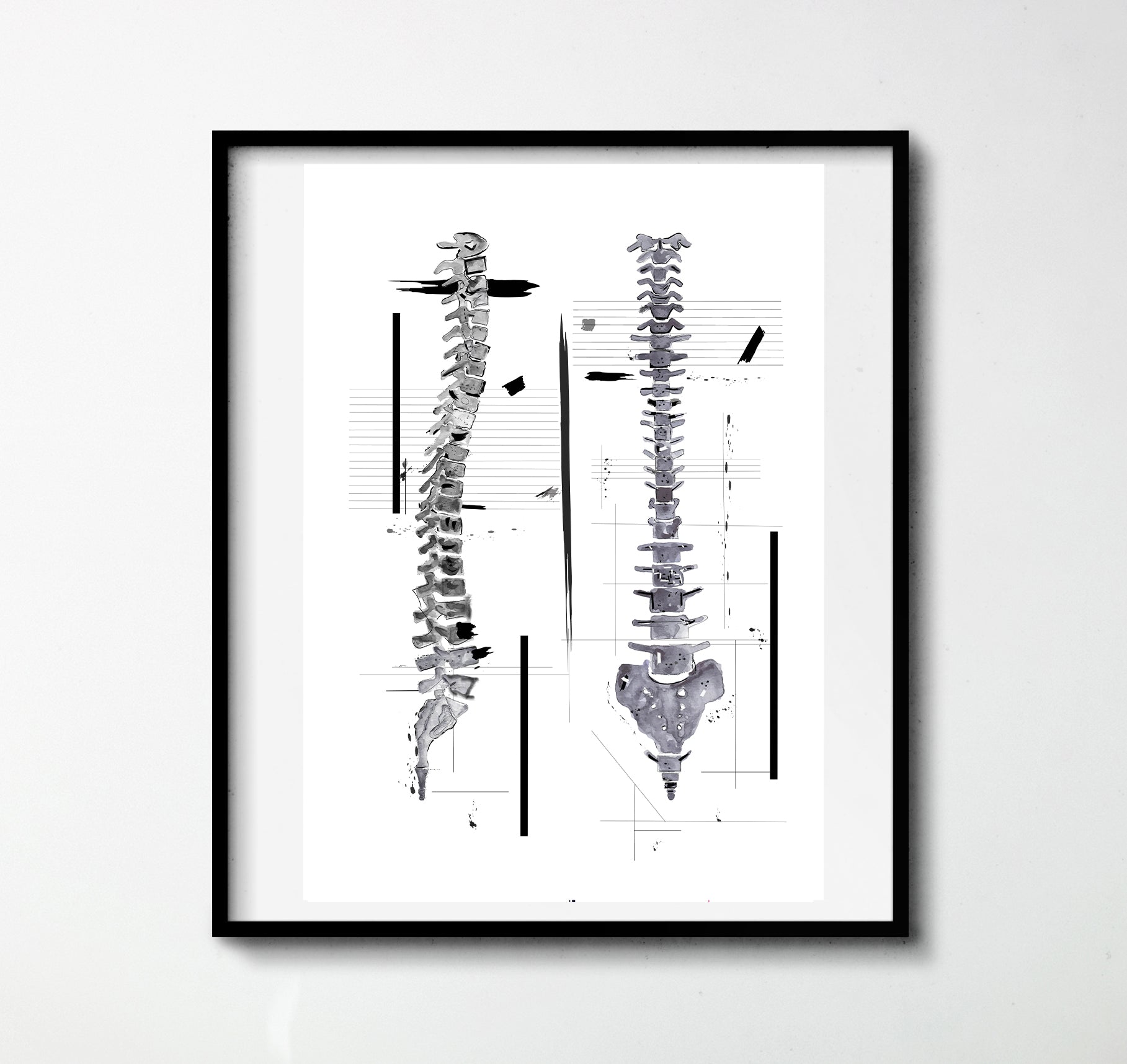human anatomy spine art