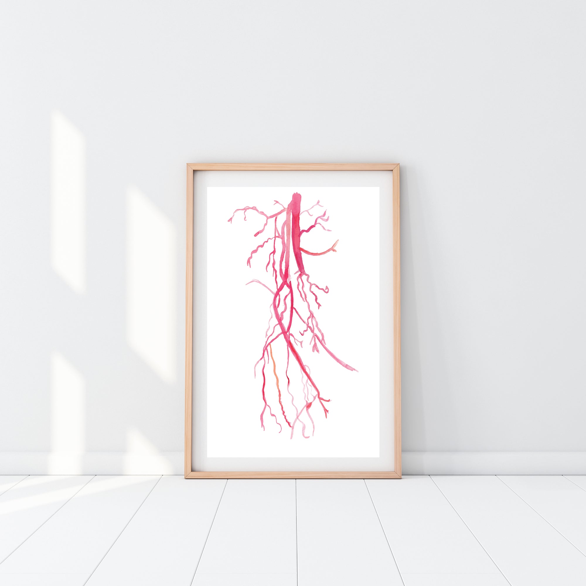 artery anatomy art