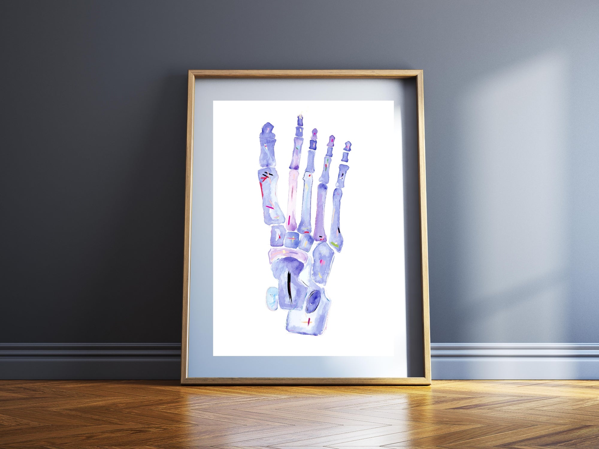 Foot Anatomy Art, Foot Bone Art, Orthopedic Surgery Art, Physical Therapy Art