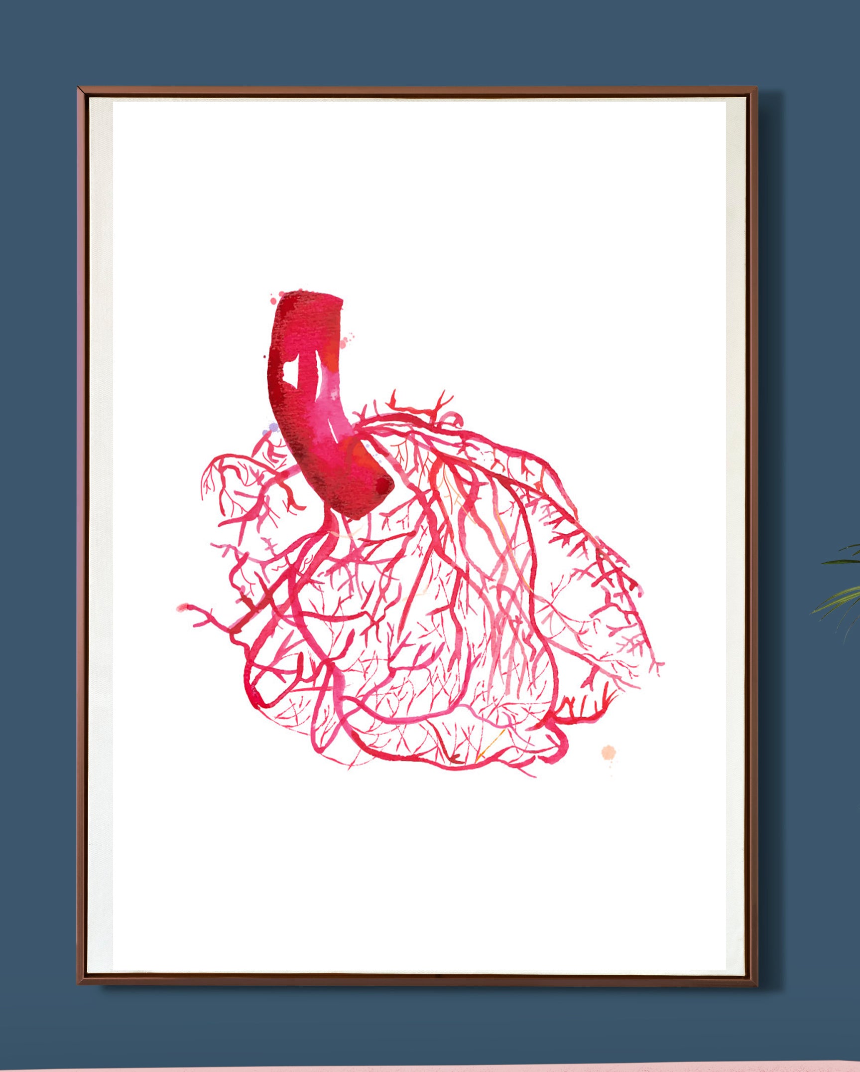 heart vascularization