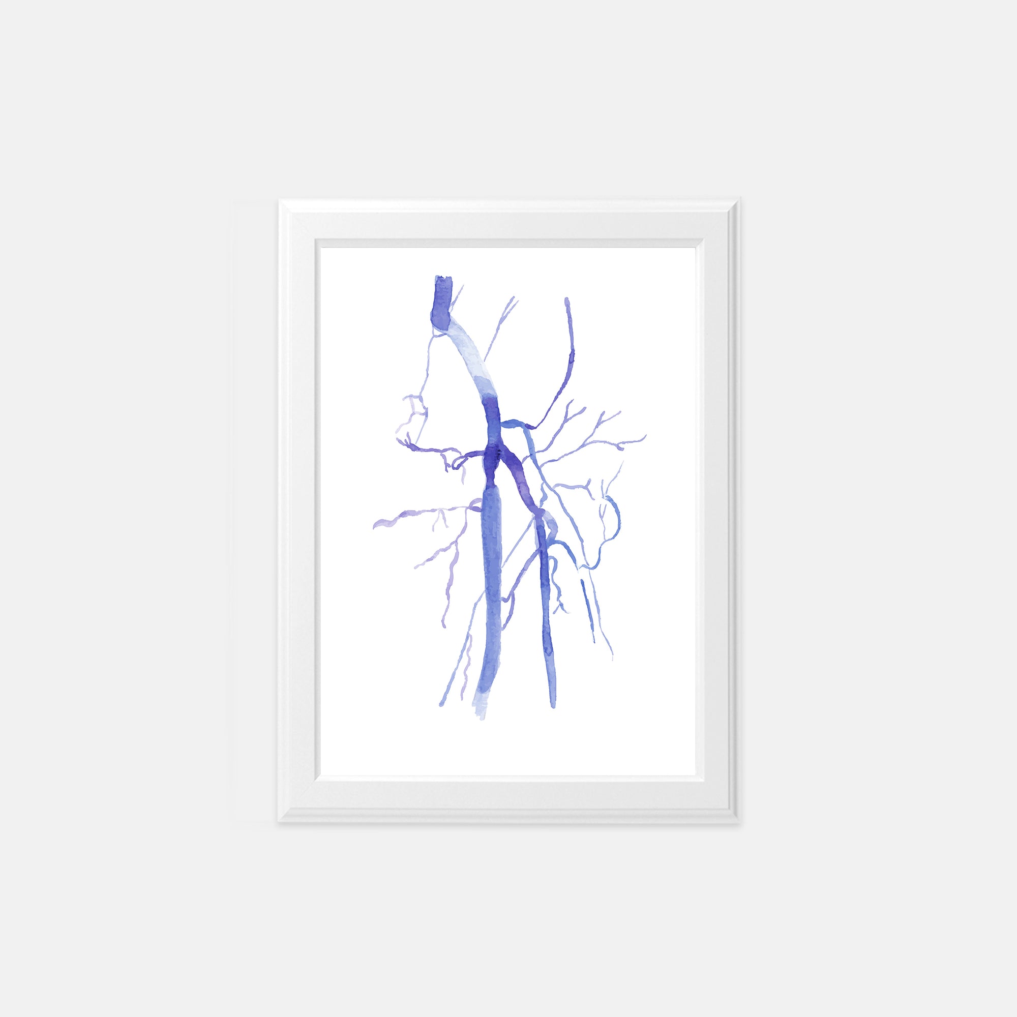 artery vascular anatomy art