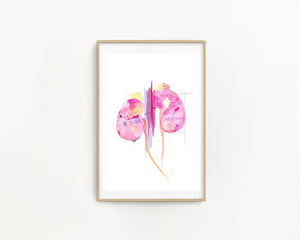Kidney Art, Abstract Anatomy Art, Nephrology Office Art