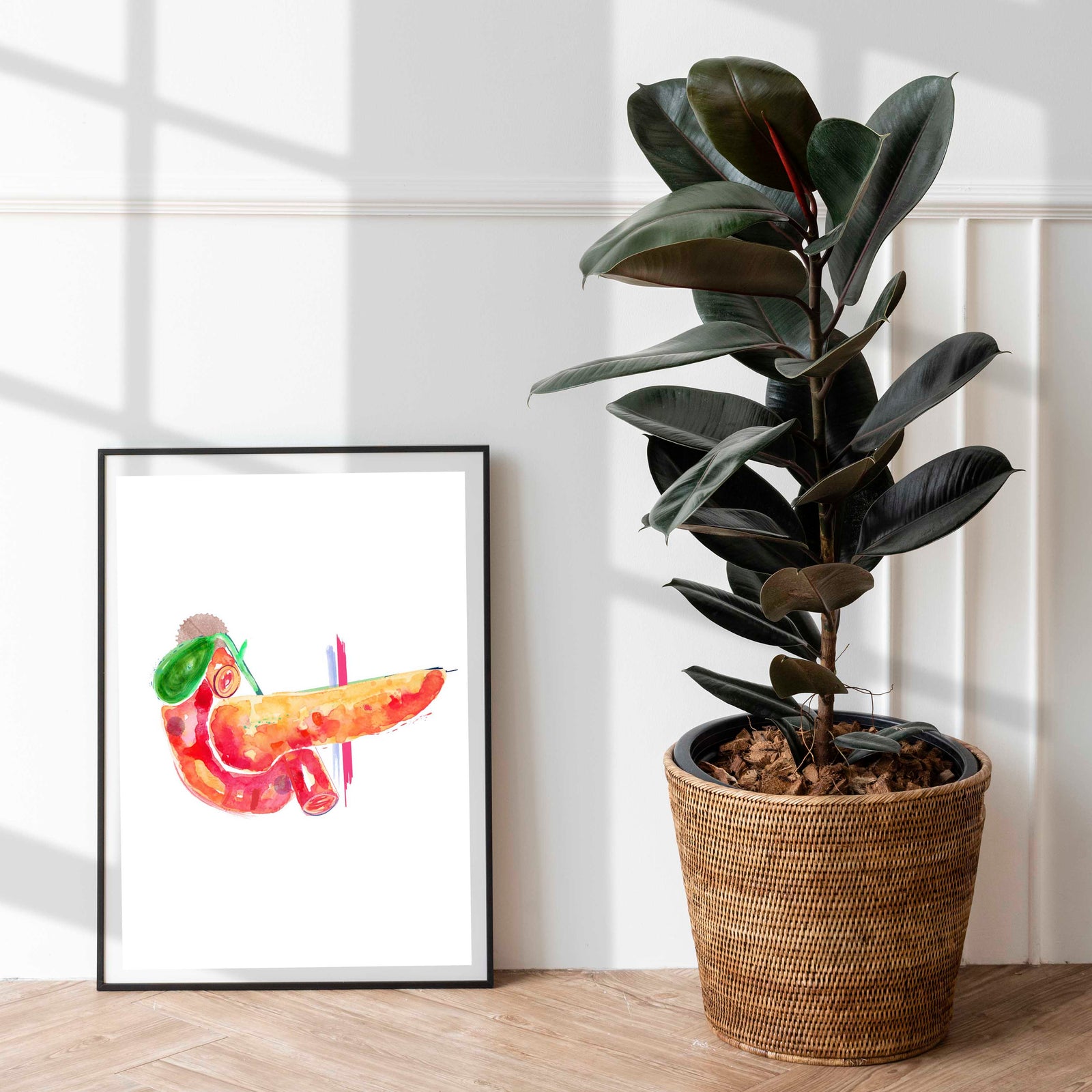 pancreas anatomy art