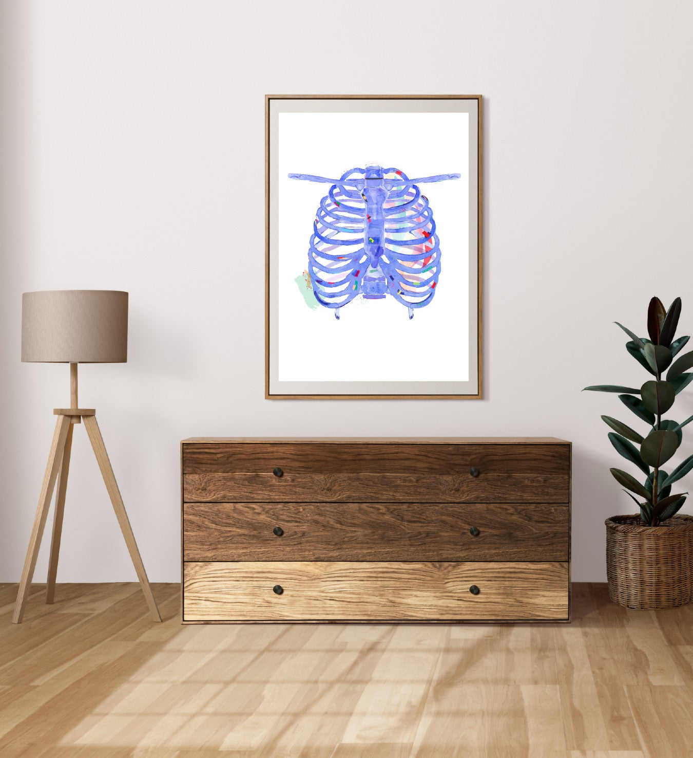 ribcage medical illustration