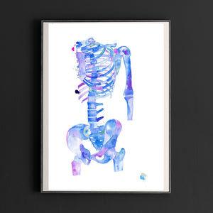 skeleton human anatomy art print