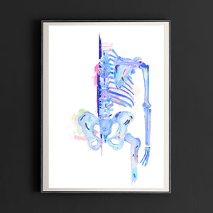 Human Skeleton Abstract Anatomy Art Print