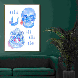 Human Anatomy Skull art Print, Dental Artwork