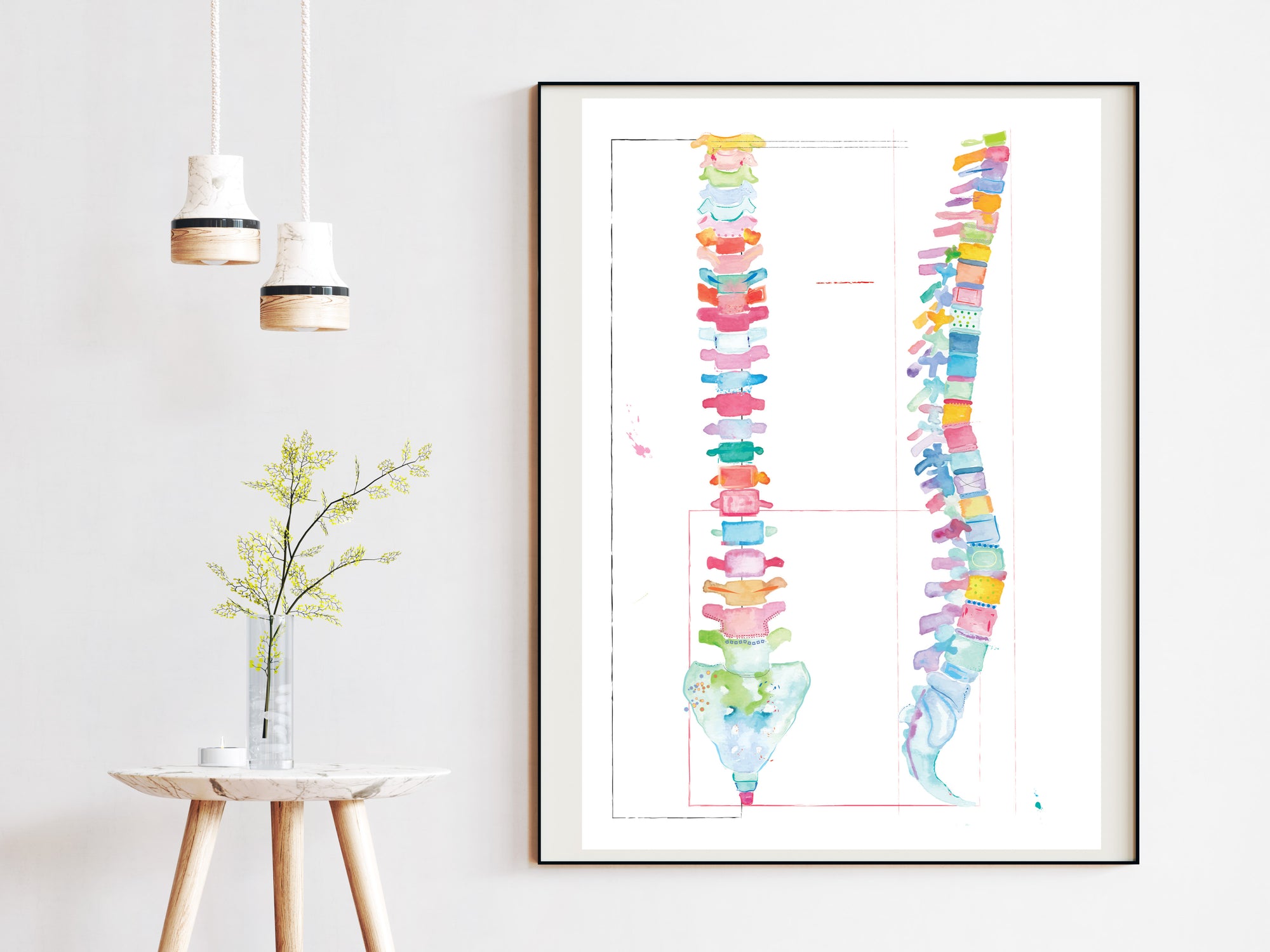 spine anatomy artwork